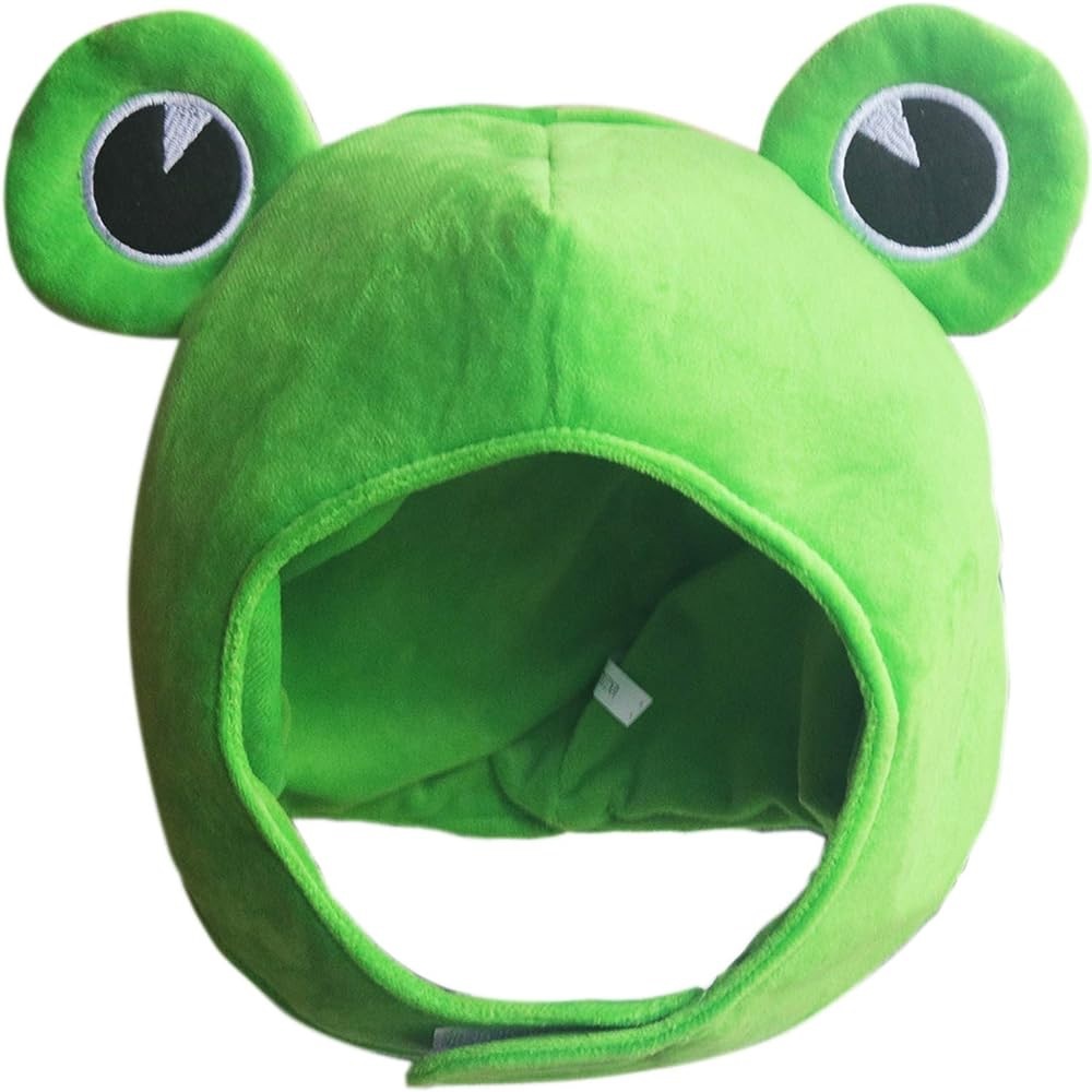 Frog Hoodie Hat